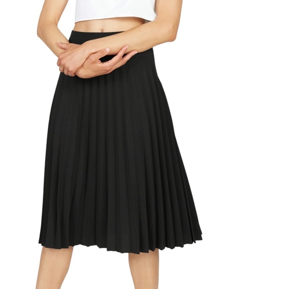Everlane Black Pleated Midi Skirt
